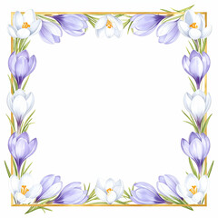 Fototapeta premium Spring Crocus Frame: A delicate arrangement of fresh, colorful crocus flowers, each petal meticulously crafted, form a vibrant, eye-catching frame.