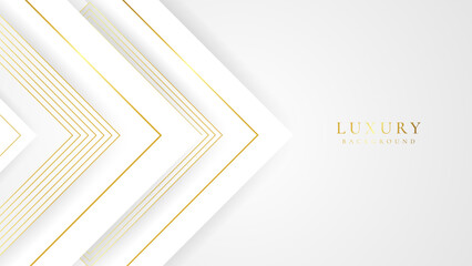 Abstract rectangle Luxury white and golden background with shining golden lines.