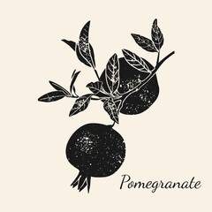 Pomegranate glyph icon. Hand drawn vector illustration in vintage technique of linocut or woodcut stamped.	