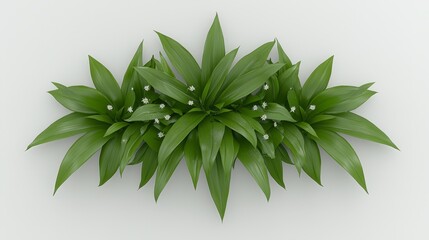 Fototapeta premium Exquisite white flowers in bloom stunning display of nature purity and elegance on pristine white background