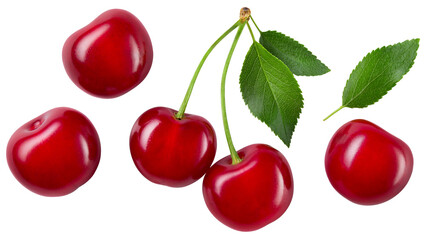 Cherry isolated png. Sour cherry with leaf on transparent background. Perfect retouched cherries with leaves top view no background.  Png cherry flat lay.