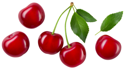 Cherry isolated png. Sour cherry with leaf on transparent background. Perfect retouched cherries with leaves top view no background.  Png cherry flat lay.