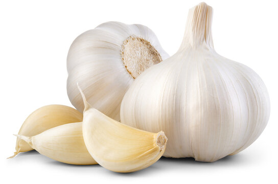 Garlic png. Garlic bulb with cloves on transparent background. White garlic with transparent shadow no background. Transparent png composition. Full depth of field.