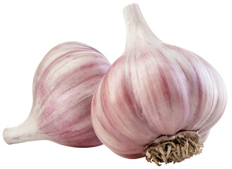 Garlic png. Garlic bulb on white or transparent background. Perfect retouched two unpeeled garlic bulbs no background. Transparent png. Full depth of field.