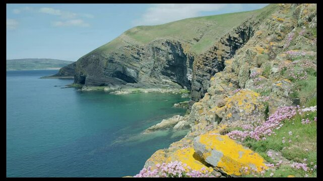 Spectacular sea cliffs at Cilan Head, Lleyn Peninsular, UK, with a turquoise sea with swimming razorbills and guillemots and a blue sky in the distance.
