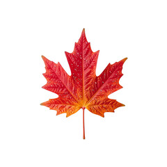 Bright red maple leaf with water droplets, showcasing autumn colors and texture.