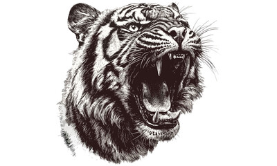 Monochrome vintage tiger line art, old engraving style roaring wild cat, detailed nature illustration, rustic animal print sketch, retro fauna drawing, wildlife conservation artwork