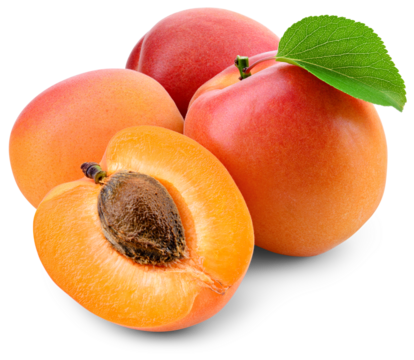 Apricot png. Apricots: whole and a half with leaf isolated on white or transparent background. Cut apricot with kernel no background. Full depth of field. Transparent png.