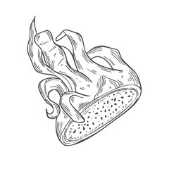 Pitahaya slice sketch. Dragon Fruit hand drawn doodle drawing. Tropical food in ink sketch style isolated. Vector manual illustration.