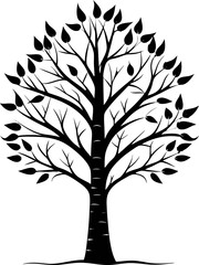 Birch tree
black silhouette vector icon on white or transparent  background