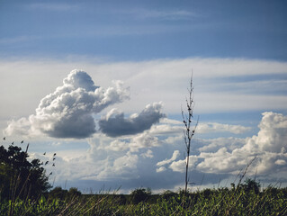 clouds over the field