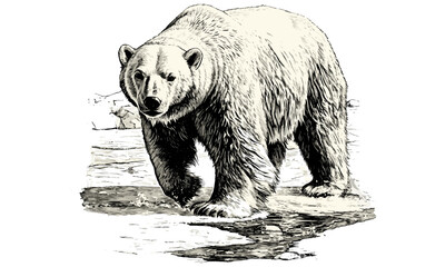 Hand-etched Polar Bear on Ice, Vintage Wildlife Design, Rustic Nature Print, Winter Animal Art, Black Sketch Effect, Engraving Style, Cold Weather Decor, Wilderness Illustration,