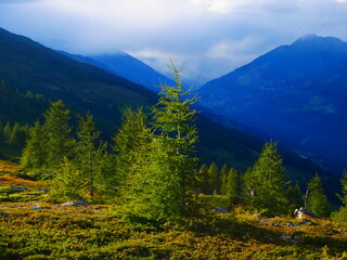 View on mountains in the Osttirol region on a summer day