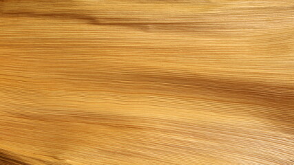 Areca palm leaf sheath background. Texture detail of the inner inflorescence sheath of the areca palm with beautiful natural lines for use as a background picture. selective focus