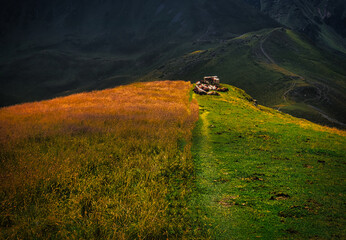 Cows in mountains near Saalbach Hinterglemm Leogang ski resort during summer day , Creative post processing