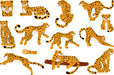 Hand-drawn tiger illustrations in various poses and interactions