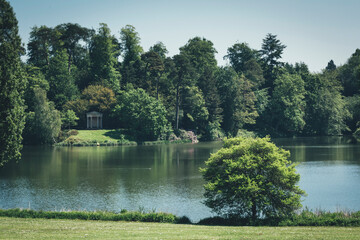 Lake and woods