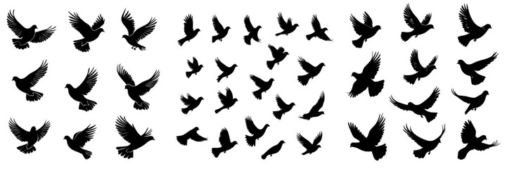Fototapeta premium A flock of pigeons rises up, forming a black silhouette against a white backdrop