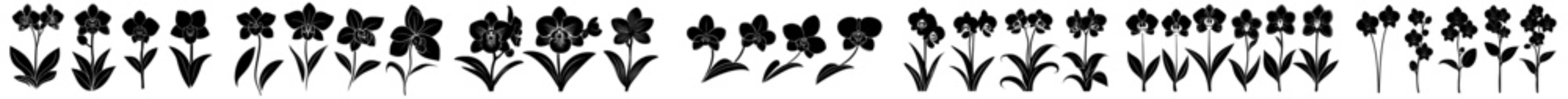 black and white barcode