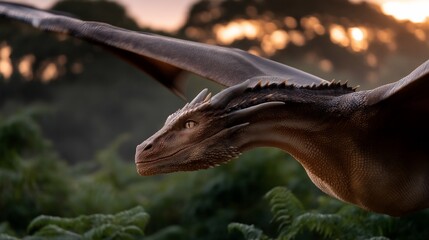Obraz premium Dragon in flight, golden hour