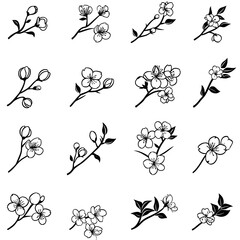 A collection of Sakura icons, including 16 linear Japanese cherry blossom symbols, are isolated on a white background and have an editable stroke, presented in a modern illustration style