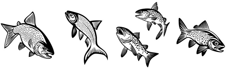 A hand-drawn modern illustration features salmon and trout, presented as a sketch of fish in isolation © Andrei