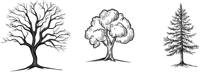 Fototapeta premium The hardwood business concept is represented by a modern illustration of a branch forest in flat style, featuring a tree sign icon on a white isolated background