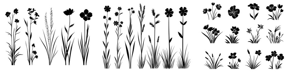 A compilation of flower silhouettes featuring rose, tulip, daisy, bell, dandelion, chrysanthemum, iris, wild flower, grass, and leaves in black set against a white background