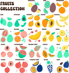 Colorful Hand Drawn Fruit Collection – Cute Cartoon Vector Set of Tropical and Summer Fruits Vector illustration of a colorful collection of hand drawn fruits with names. Includes tropical and seasona