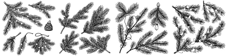 Modern isolated fir tree branches with lights on a white background represent a Christmas greeting and festive illustration of a branch tree