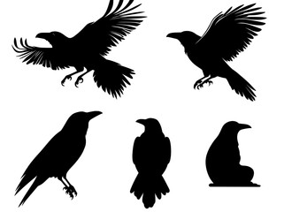 Modern illustrations of ravens silhouettes frequently include a set of ravens, a collection of black crows, and the silhouette of a flying crow, which are popular designs for grunge bird tattoos