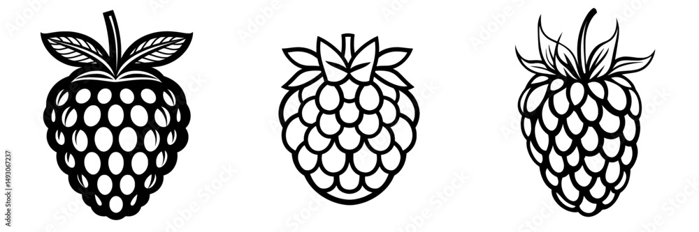 Poster modern illustration presents raspberry fruit in a continuous line art drawing style with a minimalis