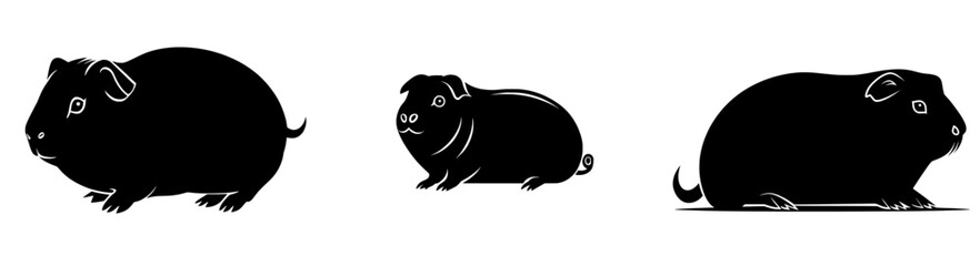 The silhouette of a modern black Guinea pig is isolated on a white background