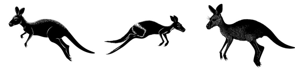 A modern illustration of a kangaroo's black silhouette is isolated on a white background, showcasing a jumping kangaroo