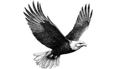 Vintage Eagle Engraving Soaring in Sky, Monochrome Bird of Prey Line Art, Rustic Wildlife Print, Detailed Ornithology Illustration, Antique Nature Etching, trendy animal art, classic wildlife decor,