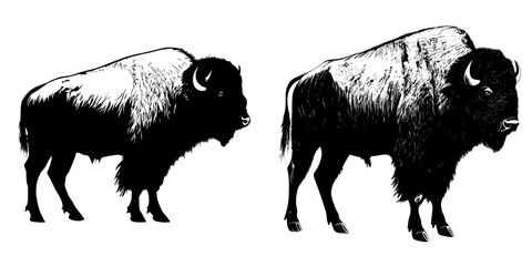 Modern illustration featuring a buffalo silhouette isolated on a white background