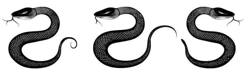 Obraz premium Three black snakes are presented as silhouettes, with one isolated snake icon on a white background, and another as an abstract sign, all in a modern illustration