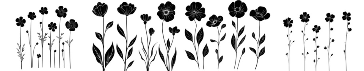 A modern illustration features a set of decorative flowers, including poppy, dahlia, daisy, sosmos, and bell, isolated on a grey background