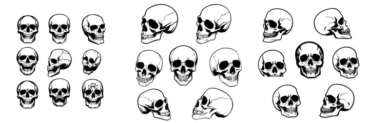 A hand-drawn skull is depicted, showcasing anatomical skulls from various angles, reminiscent of gothic tattoos, along with a human skeleton's dead head, suitable for Halloween engravings, in a