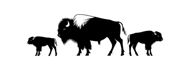 Isolated on a white background, a modern illustration of a Bison family silhouette features a herd of Buffalo, symbolizing America's strength and connection to Indian culture, with a male, female,