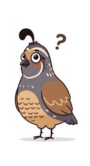 Fototapeta premium Perplexed quail poses with question