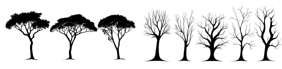 The silhouettes of several deciduous tree types appear on a white background