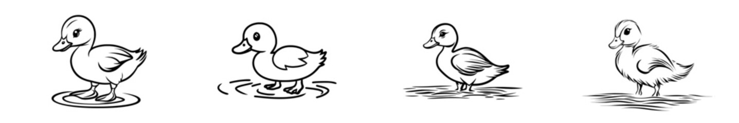 A duck is depicted in a continuous line art drawing style, shown as an abstract walking duck in minimalist black linear sketch, isolated on a white background, as a modern illustration