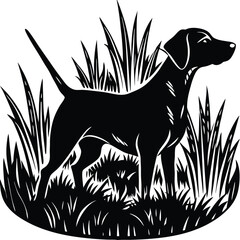 Majestic Hunting Dog Silhouette in Tall Grass