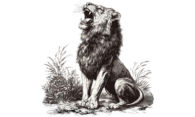 Roaring lion vintage engraving, monochrome wild cat line art, rustic fauna drawing, antique animal print, detailed nature illustration, trendy wildlife etching, classic animal sketch, savanna art