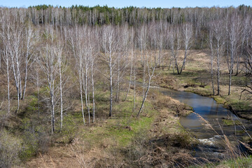 Spring landscape in a Siberian forest with a river