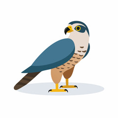 cute falcon simple vector