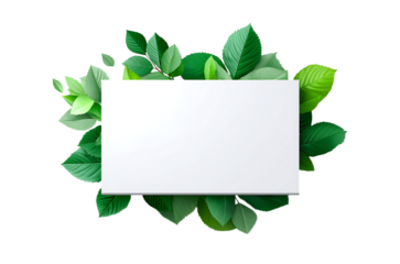 White rectangular banner surrounded by green leaves on a transparent background
