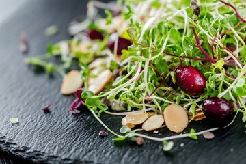 Fresh salad with sprouts, nuts, and berries on black slate plate  