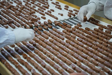 Workers sort the chocolates. Factory.